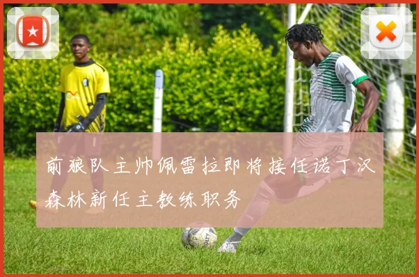 前狼队主帅佩雷拉即将接任诺丁汉森林新任主教练职务